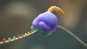 Researchers Aim for Genetic Code Reduction to Eight