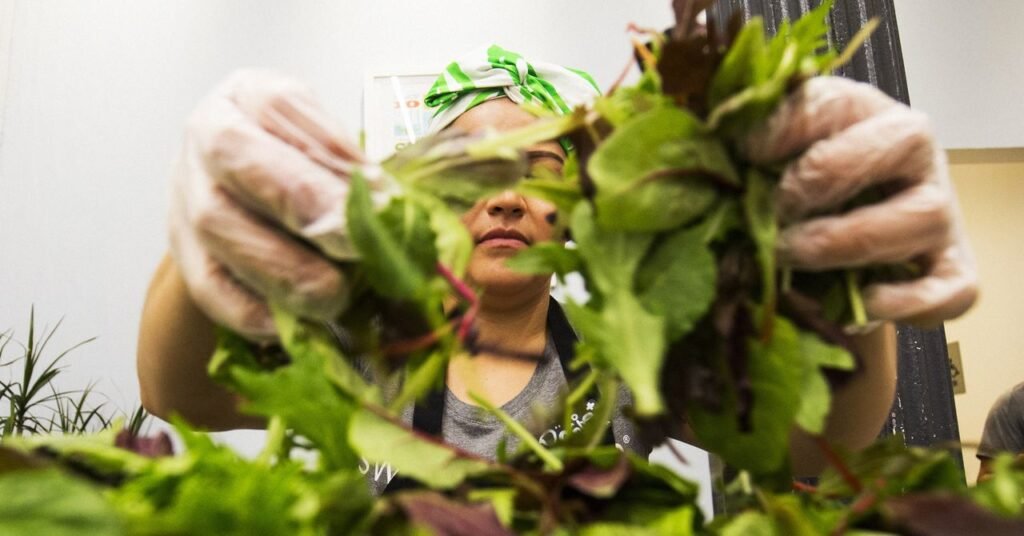 Social Media News: Salad Chains Are Seeing Foot Traffic